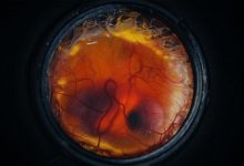 Chicks hatched from artificial eggshells, a new mission to study Earth's magnetosphere and more science stories