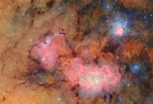 A 10-year sky survey begins filming a 'cosmic movie,' cyborg cockroaches go for a dive and more science stories