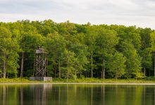 NASA transfers ownership of Maryland woodland to the US Fish and Wildlife Service