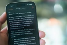 Anthropic bans 'sustained and needless abusive or cruel behavior' toward its AI models